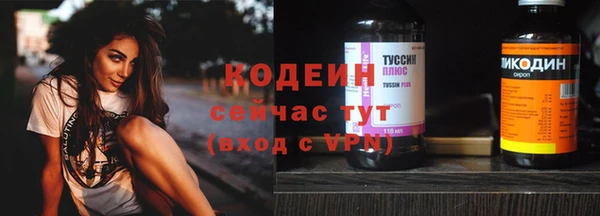 хмурый Елабуга