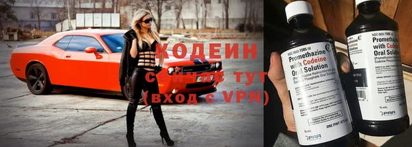 хмурый Елабуга