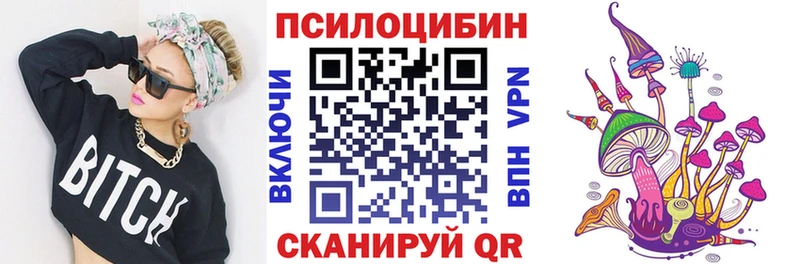 Купить закладки  Нарьян-Мар  Псилоцибиновые грибы GOLDEN TEACHER 